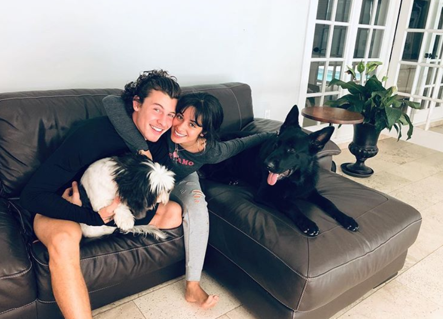 Camila Cabello and Shawn Mendes together with their dogs